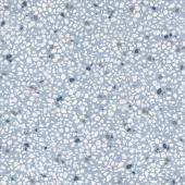 fioranese cementine cmr20g6 azzurro retro kek cementlap greslap padlolap jarolap csempe szines vintage mediterran modern loft padloburkolat furdoszoba furdo konyha nappali eloter zuhanyzo.JPG